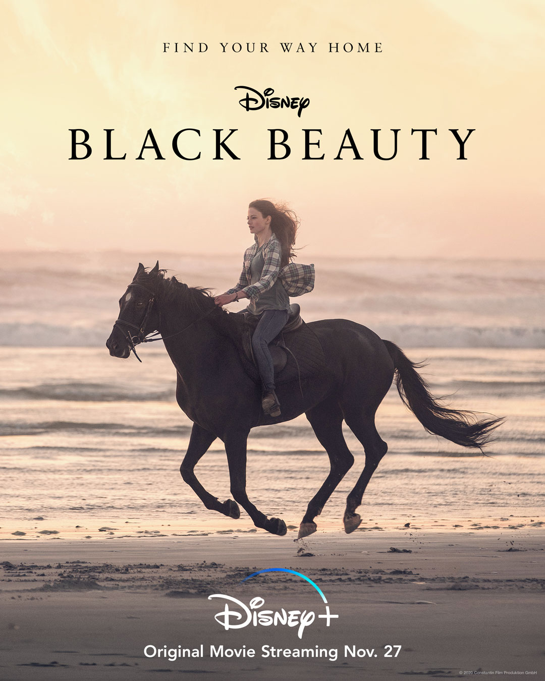 Film Feeder Black Beauty (Review)